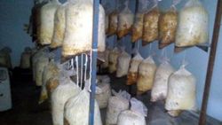 Diyarbakır'da son 1 ayda ele geçirilenler açıklandı