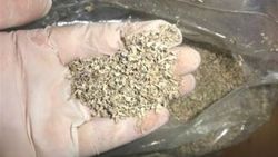 Oğlu bonzaiden ölen acılı babaya silahlı saldırı