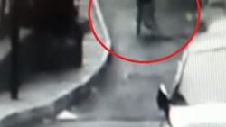 Bonzaiden ölen arkadaşını böyle sürükledi