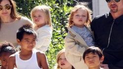Brad Pitt ve Angelina Jolie'nin düğün hazırlığı