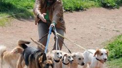 Bülent Emrah Parlak köpek saldırısına uğradı