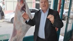 Bursa'da at eti skandalına karışan firmalar açıklandı
