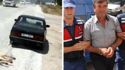 Arabanın arkasından köpeği sürükleyen şoföre kamu davası