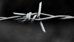 SYRIZA: Türkiye-Yunanistan sınırındaki telleri kaldıralım
