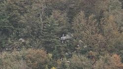 Helikopter kazasında pilotların rotası kafa karıştırdı
