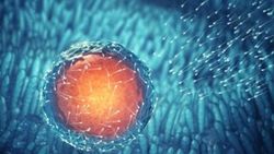 Çinliler insan embriyosunun genetiğini değiştirdi