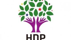 HDP seçimlerin iptali için AYM’ye başvurdu