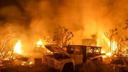California'da yangın yayılıyor