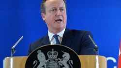Cameron: Ülkemin AB'de kalması için kampanya yürüteceğim