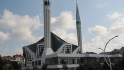 Düzce'de camide esrarengiz olay