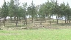 Çanakkale'de yeni şehitlik İZLE