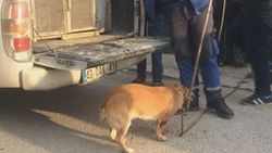 Konya'da bir adam bahçede havlayan köpeği bıçakladı