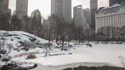 Central Park'ta göller dondu