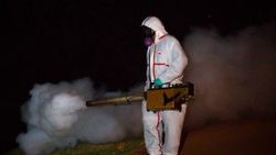 İtalya’da chikungunya virüsü alarmı