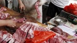 Kasaptan aldığı biftek evde canlandı