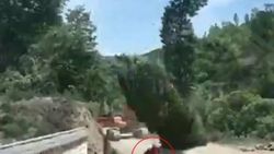 Kestiği ağacın altında kaldı