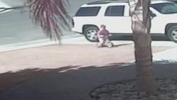 ABD'de kahraman kedi küçük çocuğu köpekten kurtardı İZLE