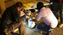 Hurdacının çöpte bulduğu bomba elinde patladı