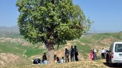 Cudi Dağı'nda piknik