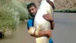 Diyarbakır'da dev sazan balığı yakalandı