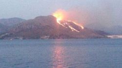 Muğla'da terane yakınında korkutan yangın