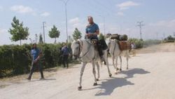 Polonyalı mühendisin at sırtındaki Kudüs yolculuğu