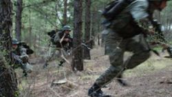 Hatay'da çatışma: 2 PKK'lı terörist öldürüldü