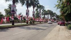 Çevreciler ağaçlara asılan afişlerden şikayetçi