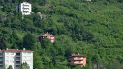 Karadeniz yeşille mavinin buluşma noktası