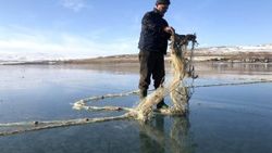 Buz tutan Çıldır Gölü'nde Eskimo usulü balık avladılar
