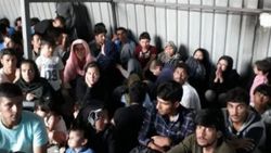 Van'da 299 kaçak yakalandı