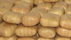 Bazanın altında saklanan 200 kilo esrar ele geçirildi