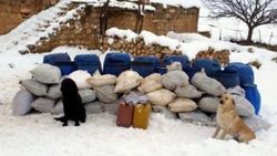 Mardin'de güvenlik güçleri olası bir faciayı önledi