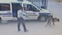 İzmir'de komiser yardımcısı köpek vurdu