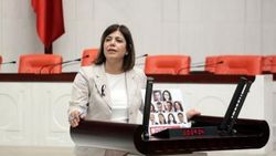 HDP'nin Türk tipi başkanlık itirazı