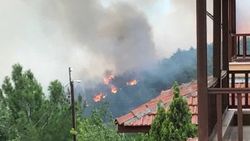 Hatay’da orman yangını