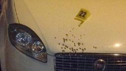Gebze'de silahlı çatışma: 7 yaralı