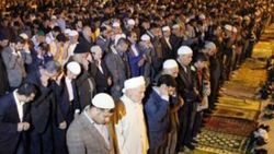 Mısır'da alınan idam kararı Şanlıurfa'da protesto edildi