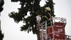 İtfaiyeden yastık kılıfı operasyonu