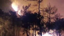 Marmaris’te 10 hektar ormanlık alan küle döndü