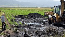 Osmaniye'de tonlarca petrol boşa aktı