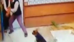 Tavuklarını korkuttuğunu söylediği köpeği yaraladı