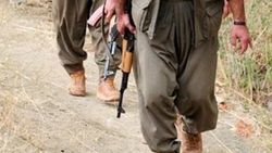 Van'da iki PKK'lı yol kesip iş makinesi yaktı