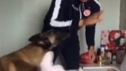 Bebeği babasının şiddetinden koruyan köpek