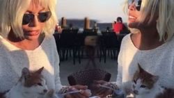 Ajda Pekkan: İzmir'in kedisi bile farklı