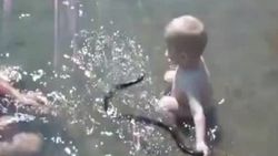 Su yılanıyla oynayan bebek yılana zor anlar yaşattı -izle