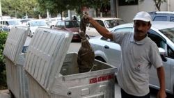 İçinde bebek cesedi olduğu sanılan poşetten kedi çıktı