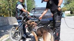 Çako motosiklete saklanmış esrarı buldu