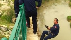 Dereye düşen yavru köpeği itfaiye kurtardı