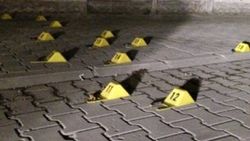 Park kavgasında pompalı tüfek dehşeti